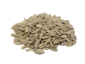 Sunflower seeds PNG-42966